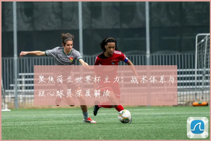 聚焦荷兰世界杯主力：战术体系与核心球员深度解读